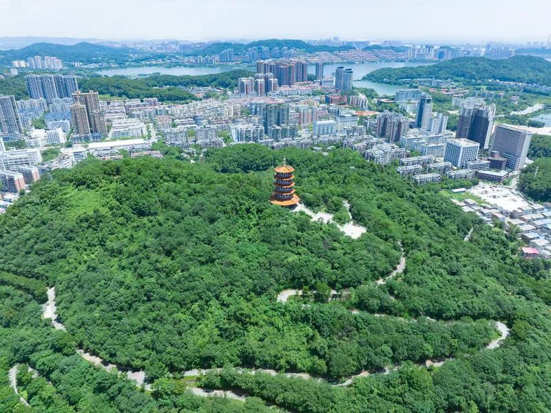 劲牌捐建的柯尔山白马山公园.jpg