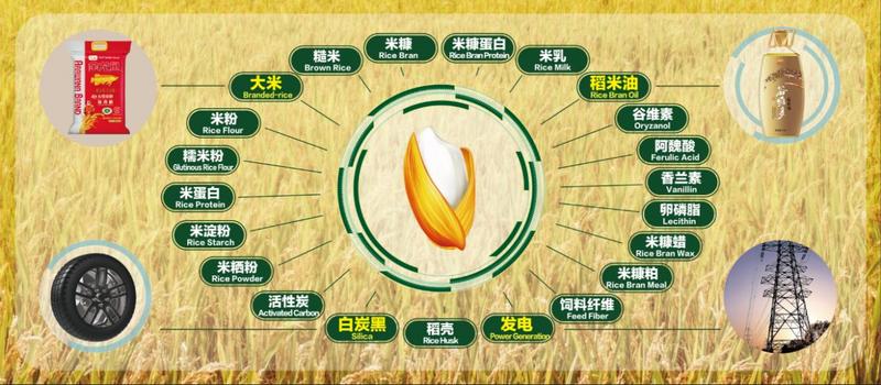 解密大国司厨——<span class=