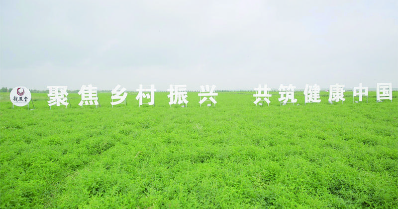 3736300_chenyiming_1746596203186.jpg
