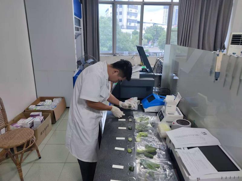 “你送我检”贴心护航安远县中考学子“舌尖安全”_快检图片2_f55eec95b33e42d89855624419a71f00.jpg